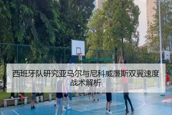 西班牙队研究亚马尔与尼科威廉斯双翼速度战术解析 - okooo