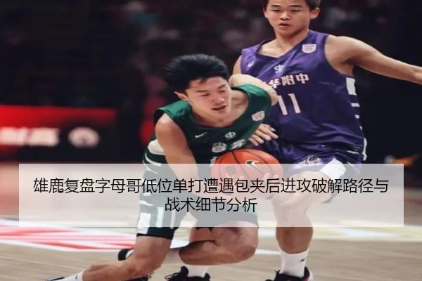 雄鹿复盘字母哥低位单打遭遇包夹后进攻破解路径与战术细节分析（okooo）